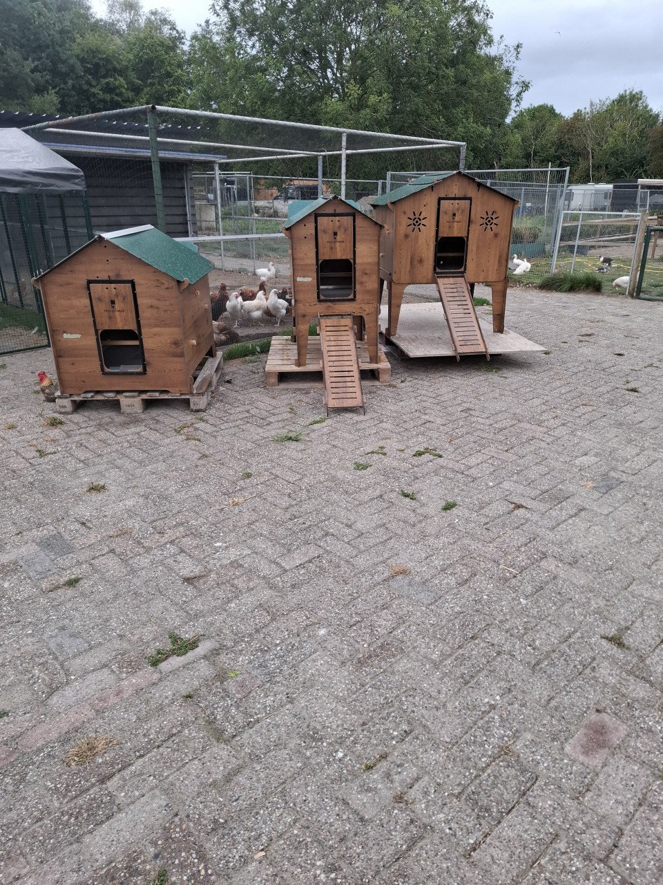 OPRUIMING!! kippenhokken/ren deze week 20% KORTING!
