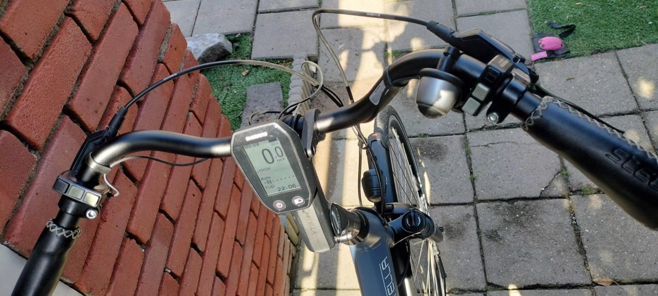 Stella Livorno steps