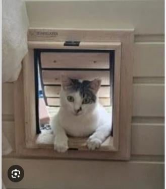 Kattenluik kattenluikje
