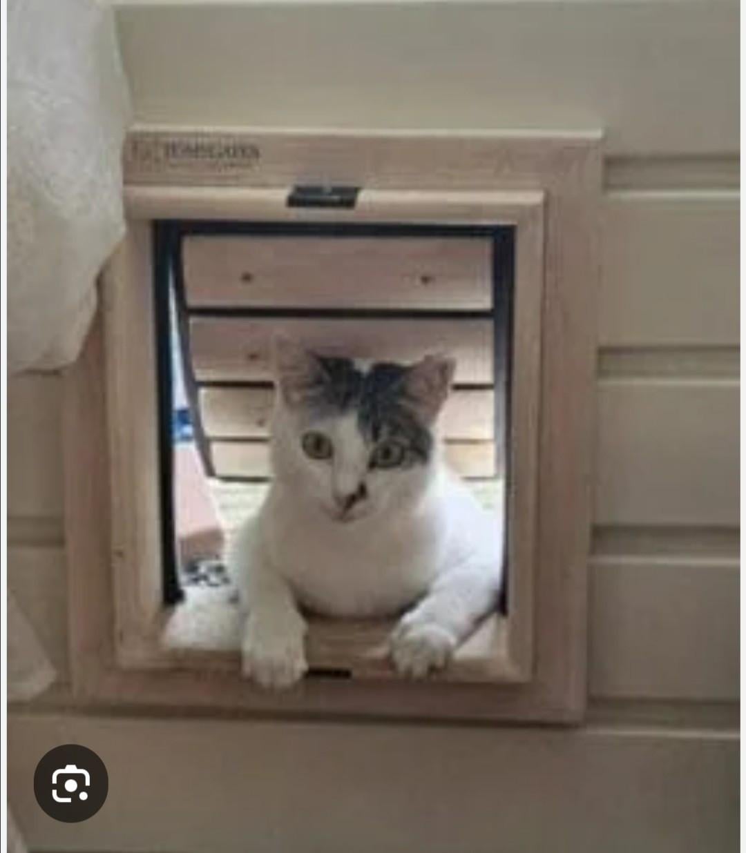 Kattenluik kattenluikje