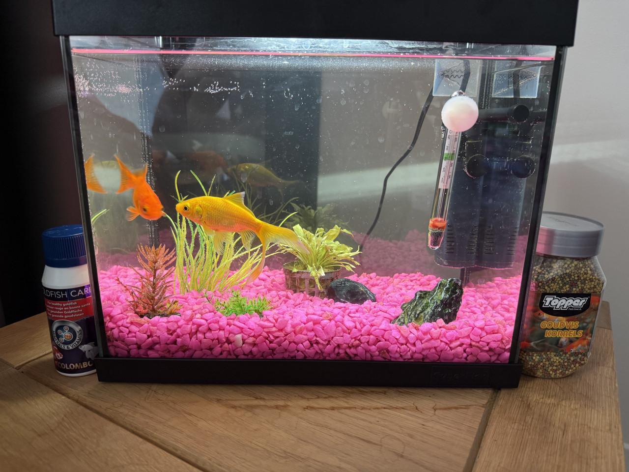 Aquarium