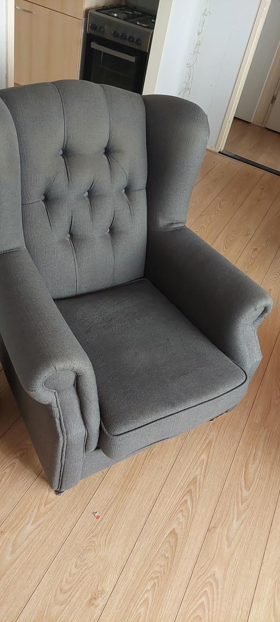 Atraciet grijze oor-fauteuil