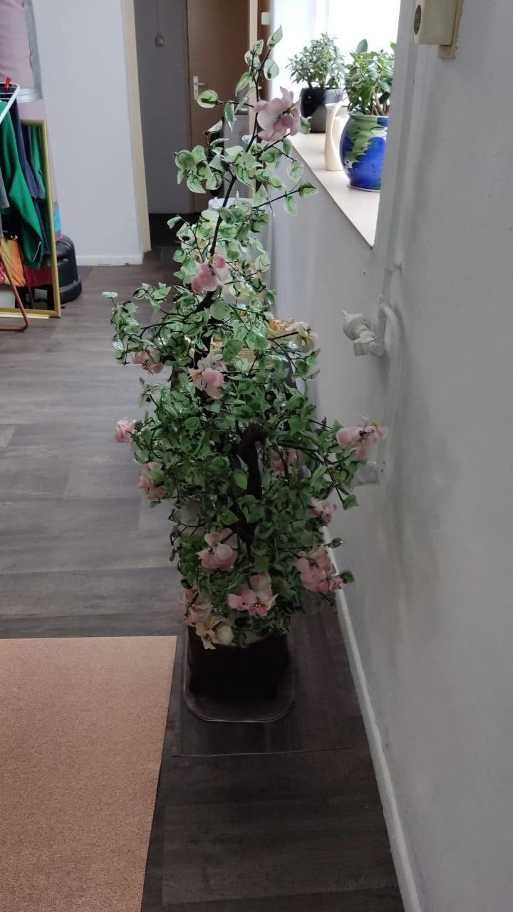 Grote Vintage Bonsai boom van Jadeglas