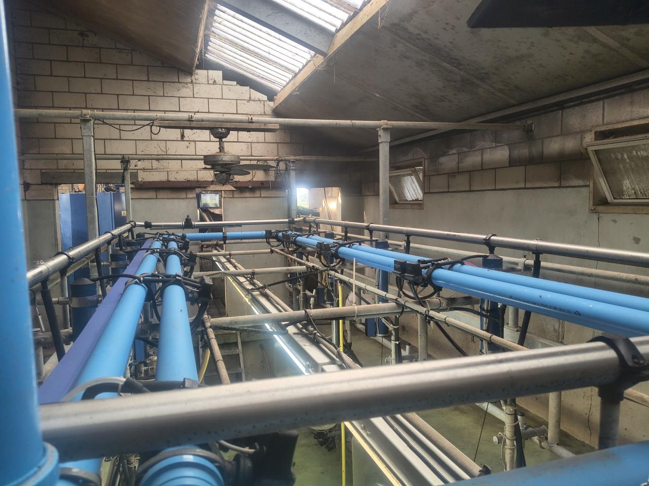 Delaval melkstal
