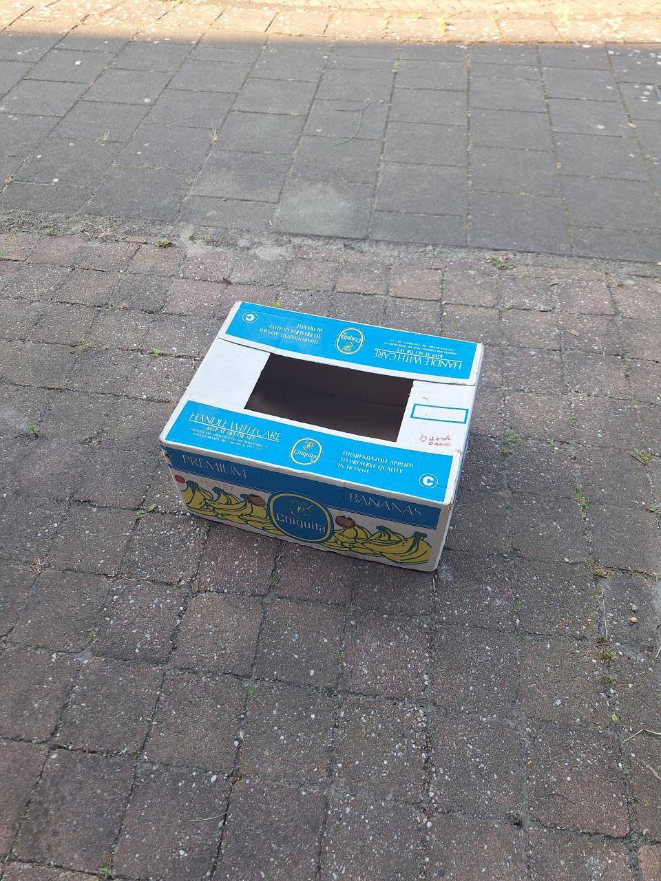 Gratis Bananendoos