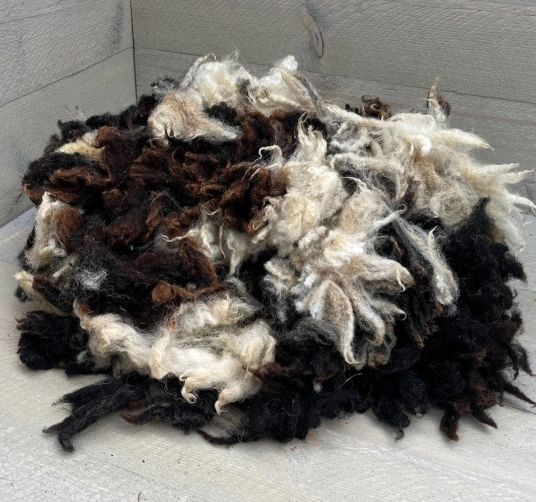 Wol schapen schaap wol wit zwart of bont diverse rassen