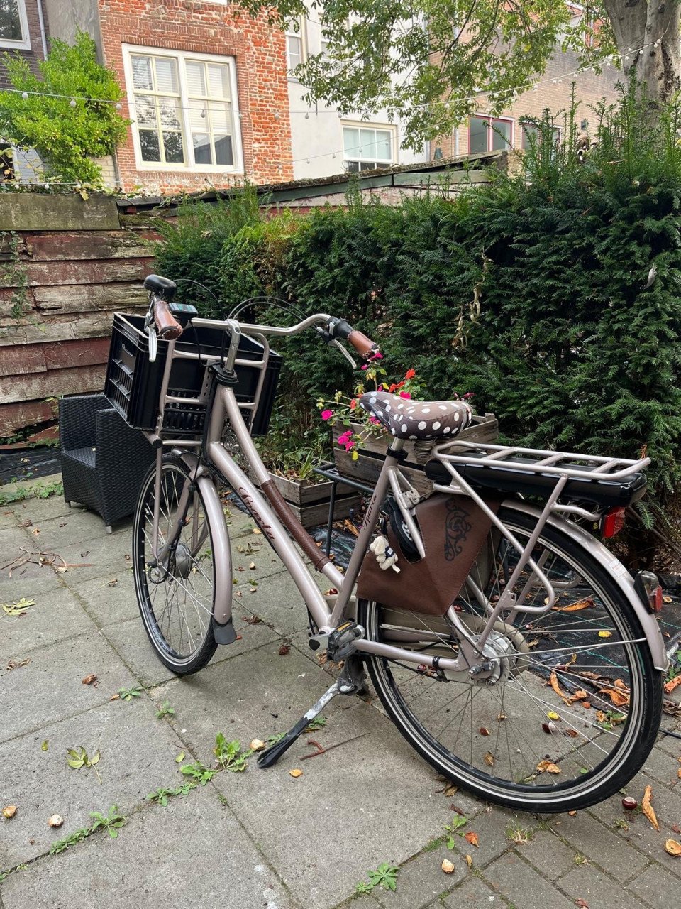 Elektronische Fiets
