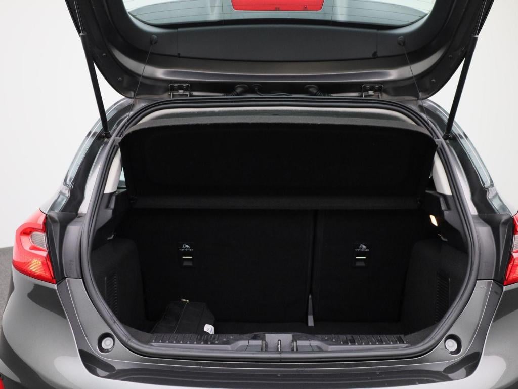 Ford Fiesta 1.0 ecoboost titanium | winterpack | stoel/stuur verwarming | l