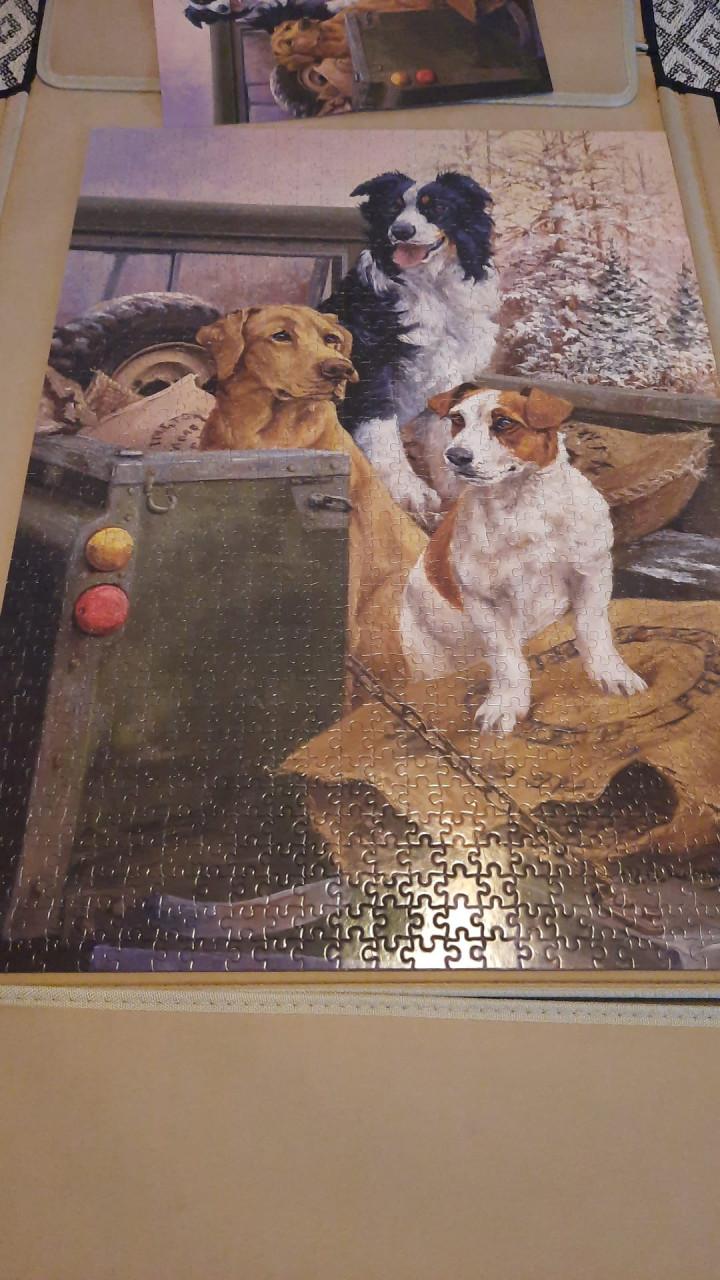 Leuke puzzel van 1000 stukjes