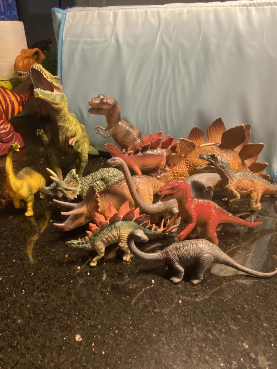 Dinosaurussen incl opberg bak met speelmat