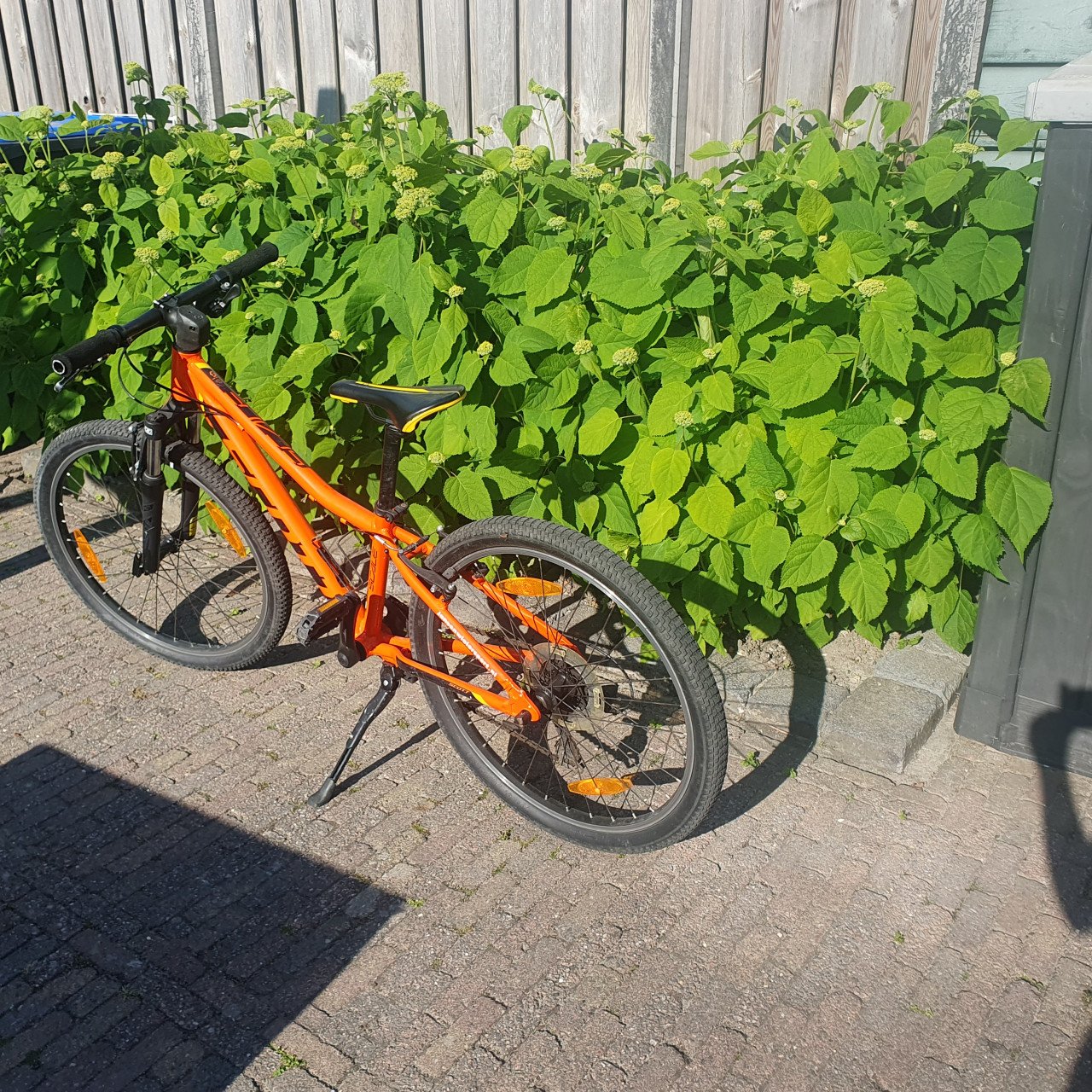 Kindermountainbike Scott 24 inch