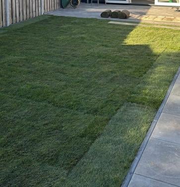 Grasmatten te koop (9 m²)