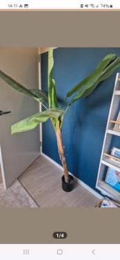 Grote kunstplant