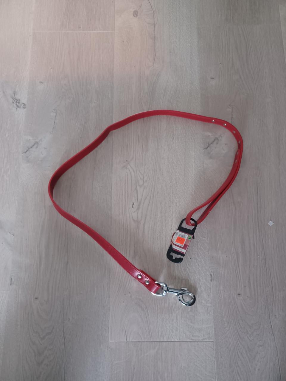 Hondenjasjes en riemen