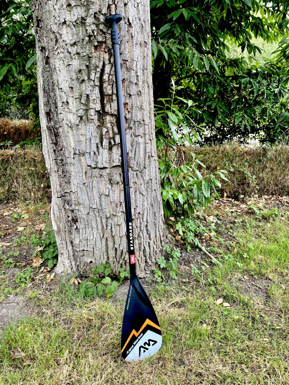 Sup board Aqua Marina Echo