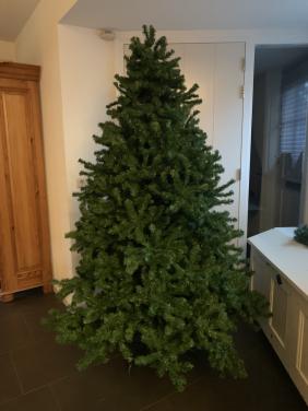 Kerstboom ong 2 meter Intratuin