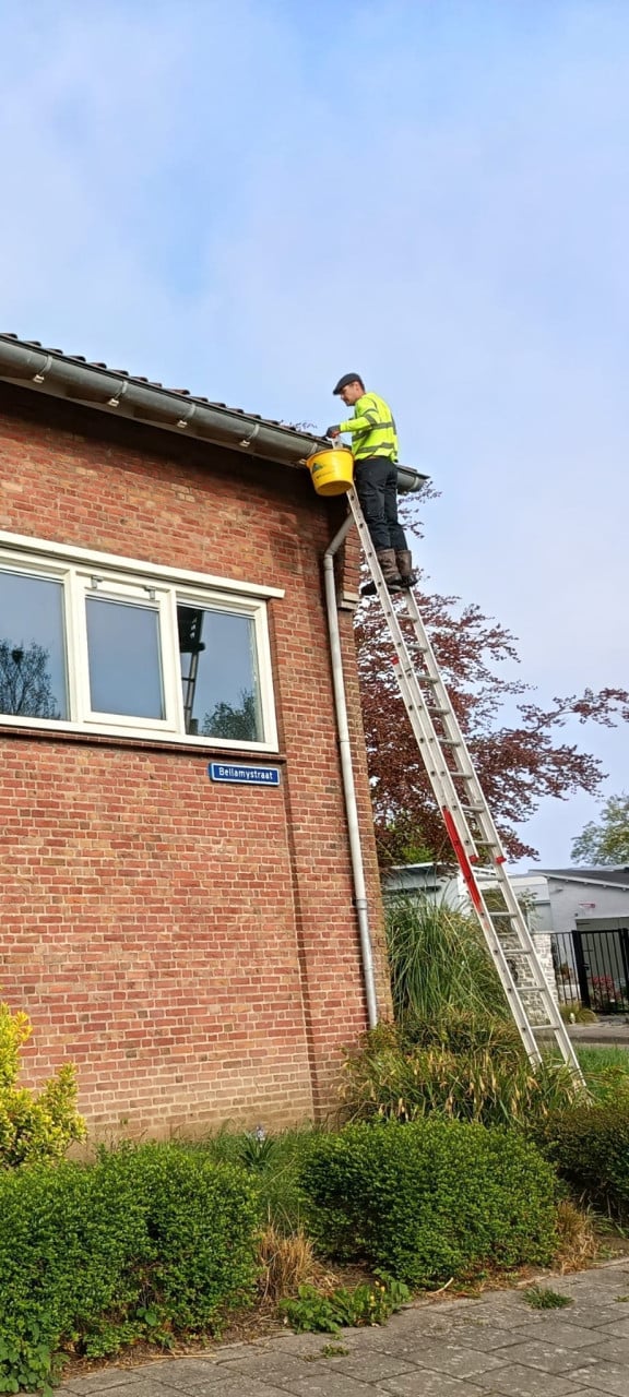 Tuinonderhoud