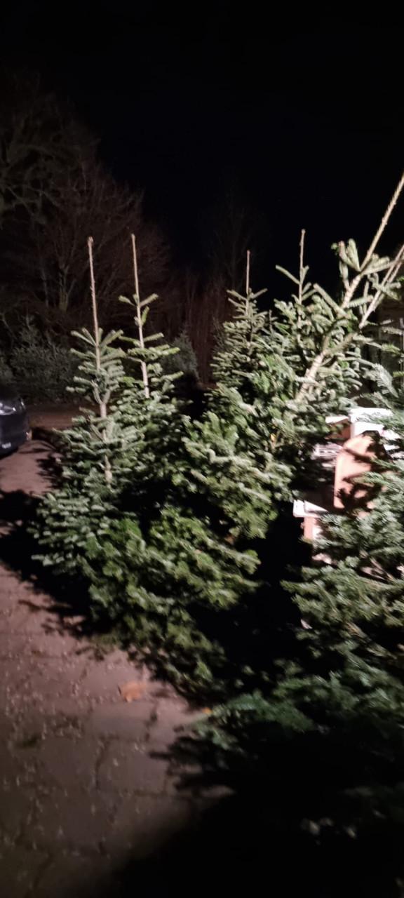 Nog steeds mooie kerstbomen te koop