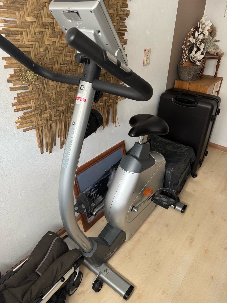 Home trainer