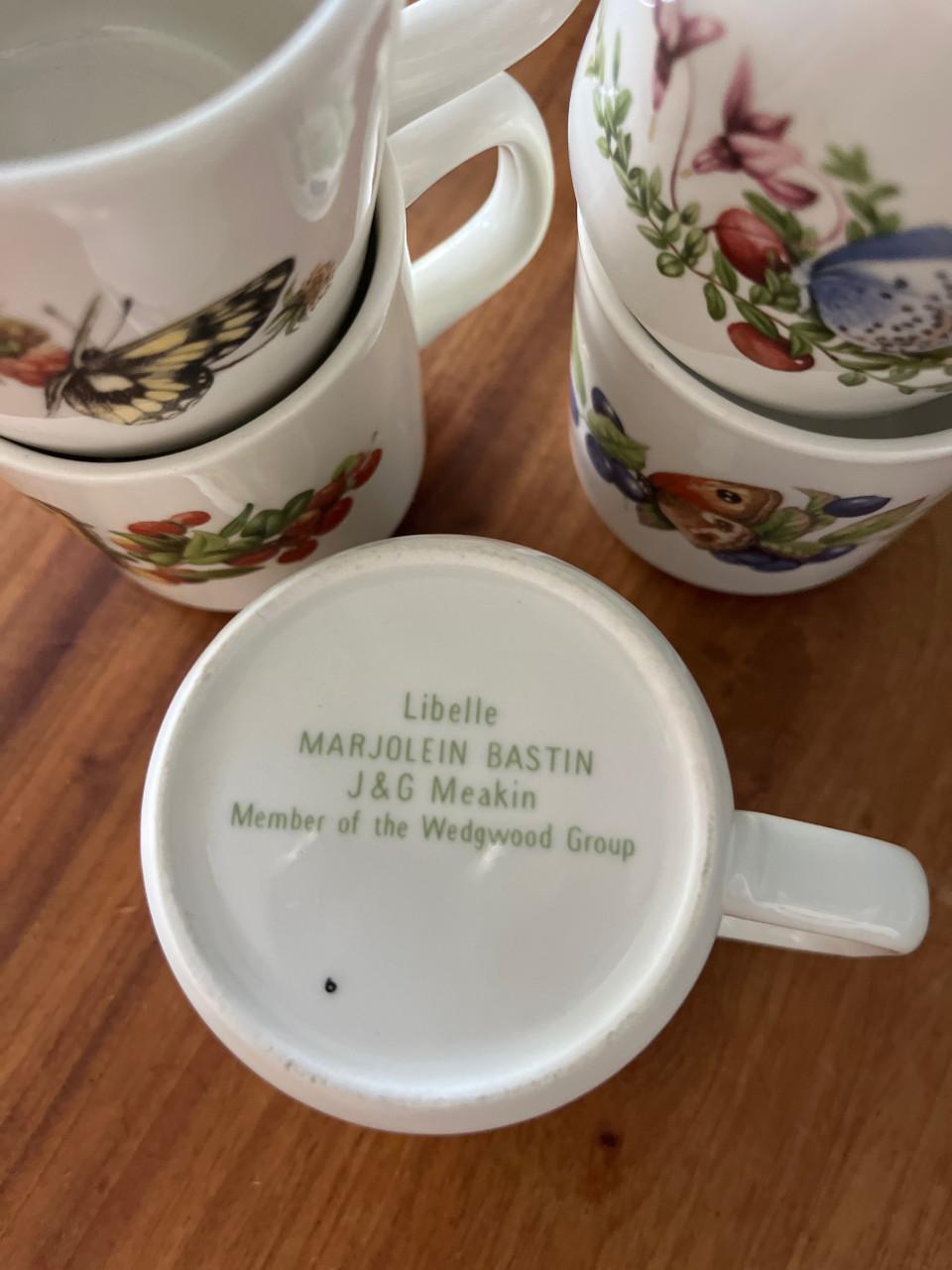 Mokken Marjolein Bastin