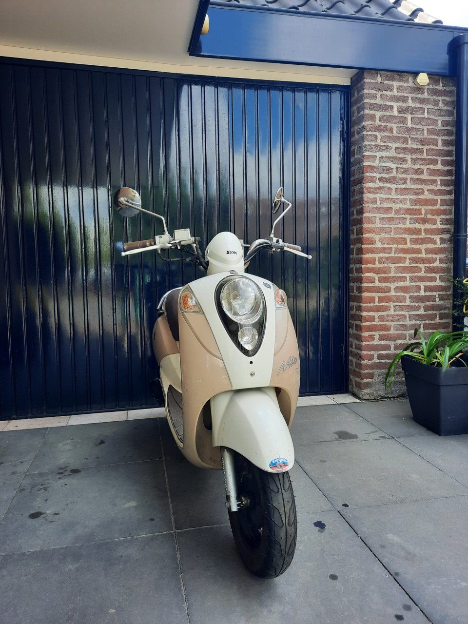 Scooter