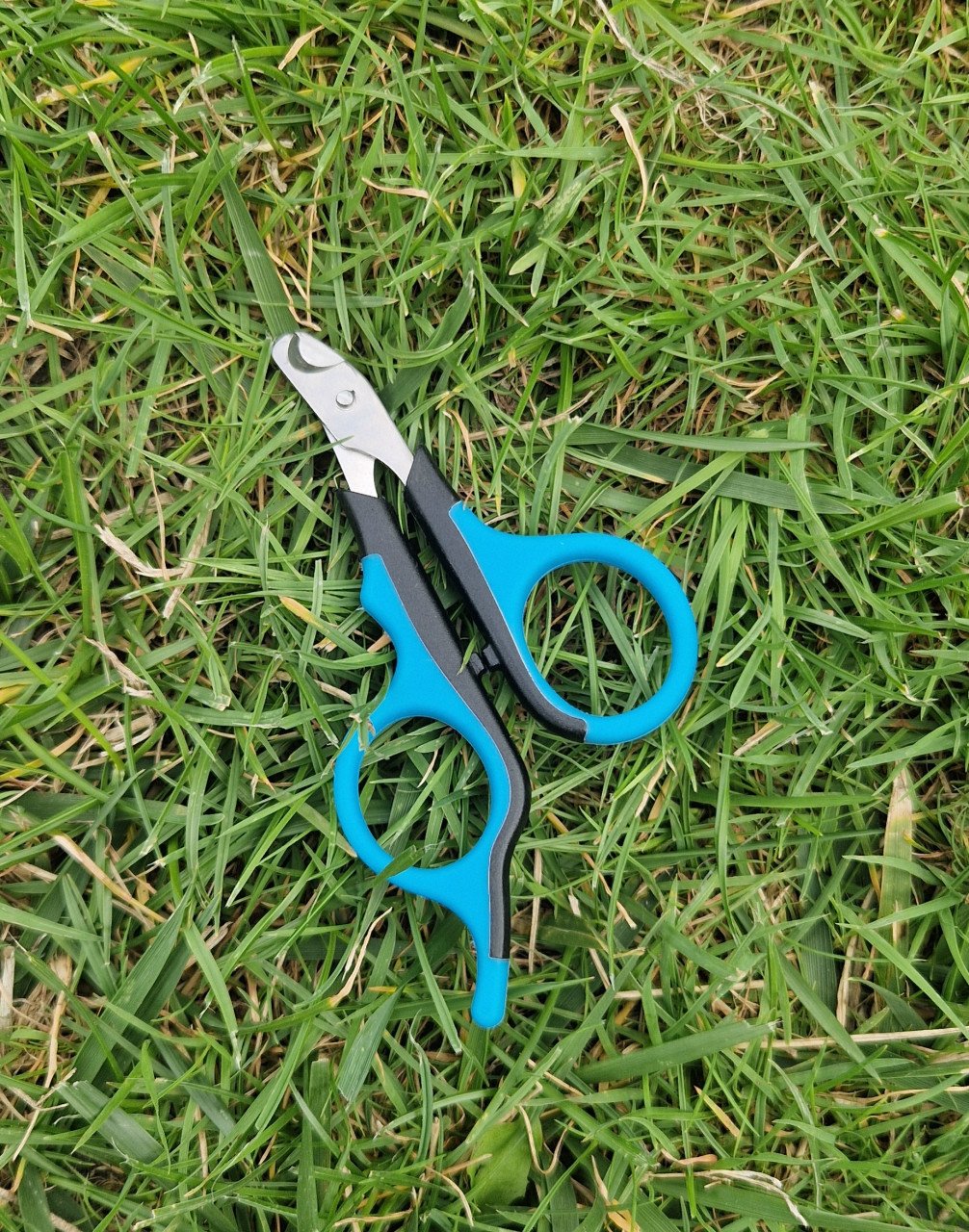 Transportbox kat, kattenluik, waterfontein, voer- drinkbakjes