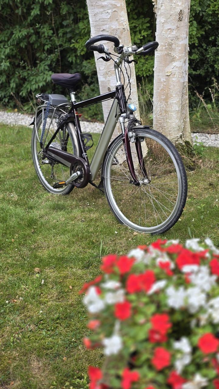 Koga Miyata Tesla e-bike