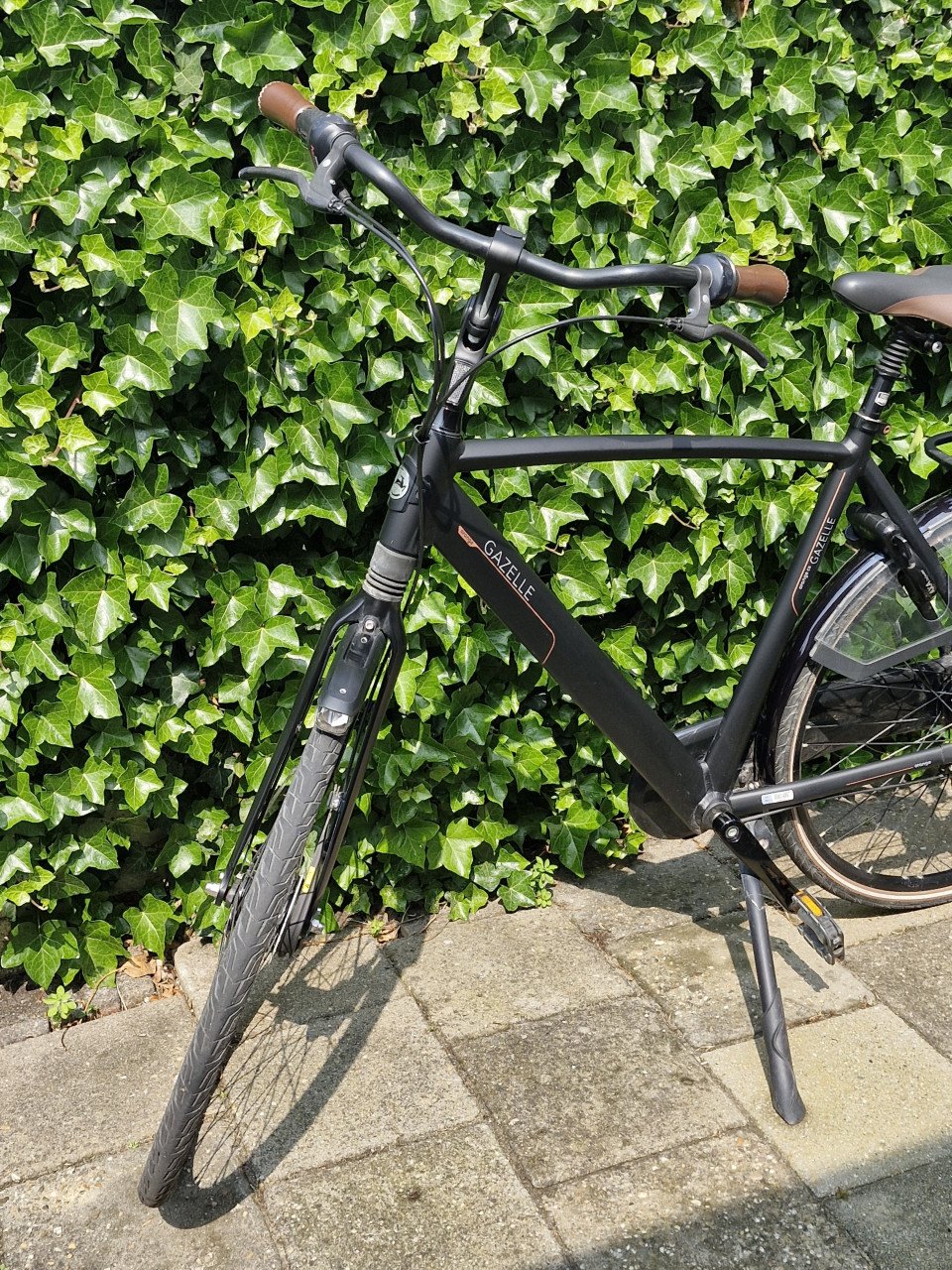 Gazelle Orange C8