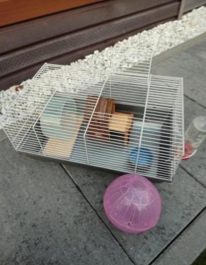 Hamsterkooi