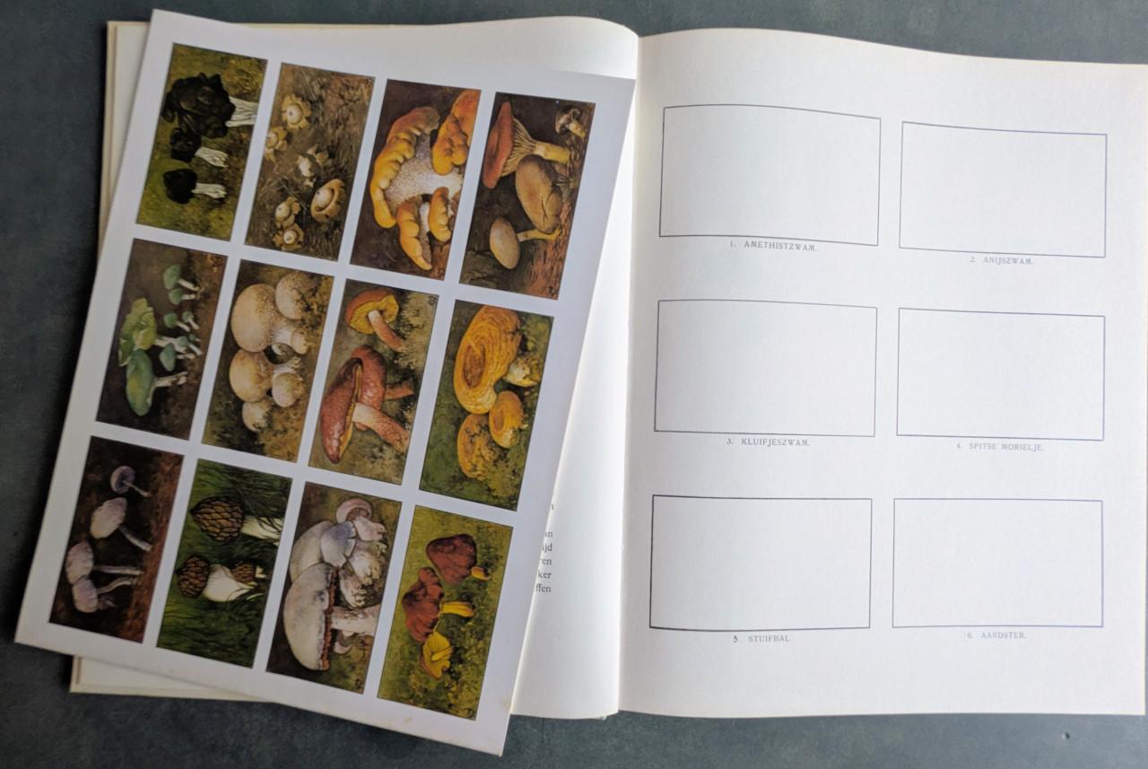 Vier Verkade albums+ bijbehorende plaatjes