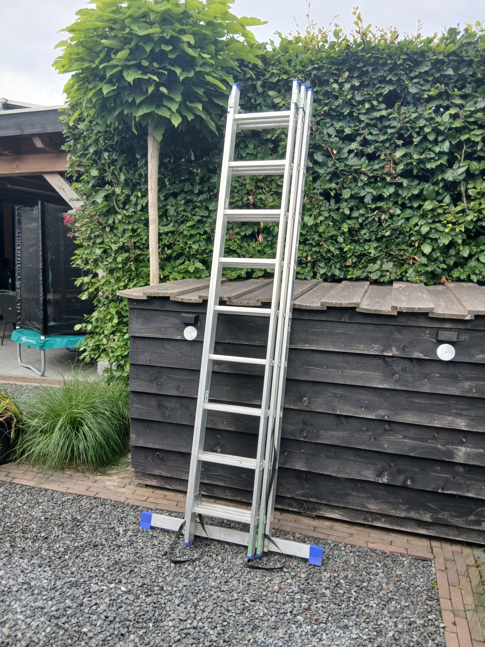Ladder