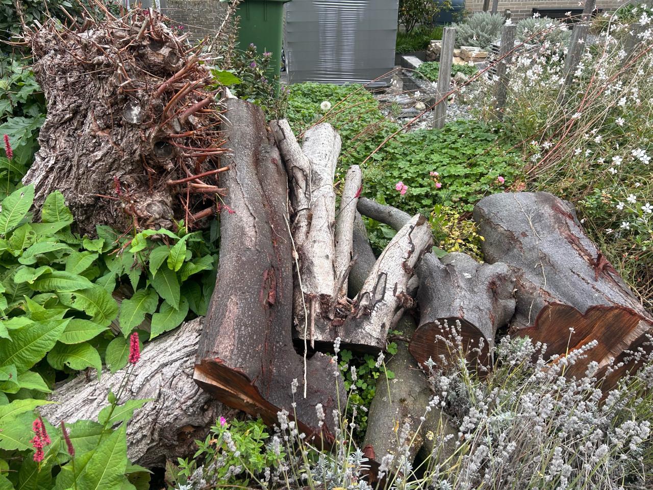Haardhout, gratis af te halen
