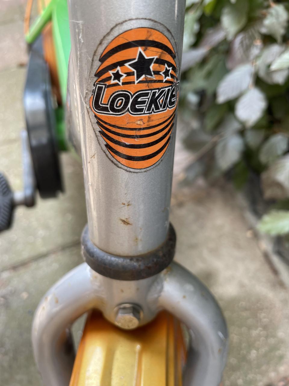 Degelijke LOEKIE Fiets!!, nieuwe! banden en reflectoren IZGS!!