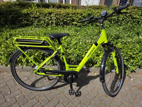 Schitterende Pegasus met Bosch middenmotor