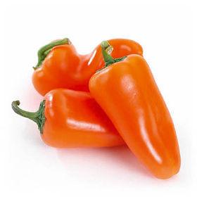 Snoep paprika plantjes 🫑