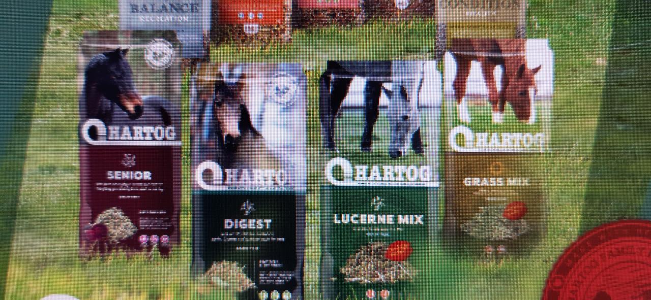 Paardenvoeders
