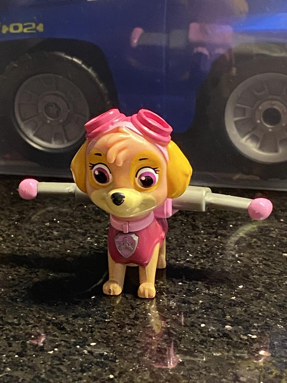 Paw Patrol poppetjes