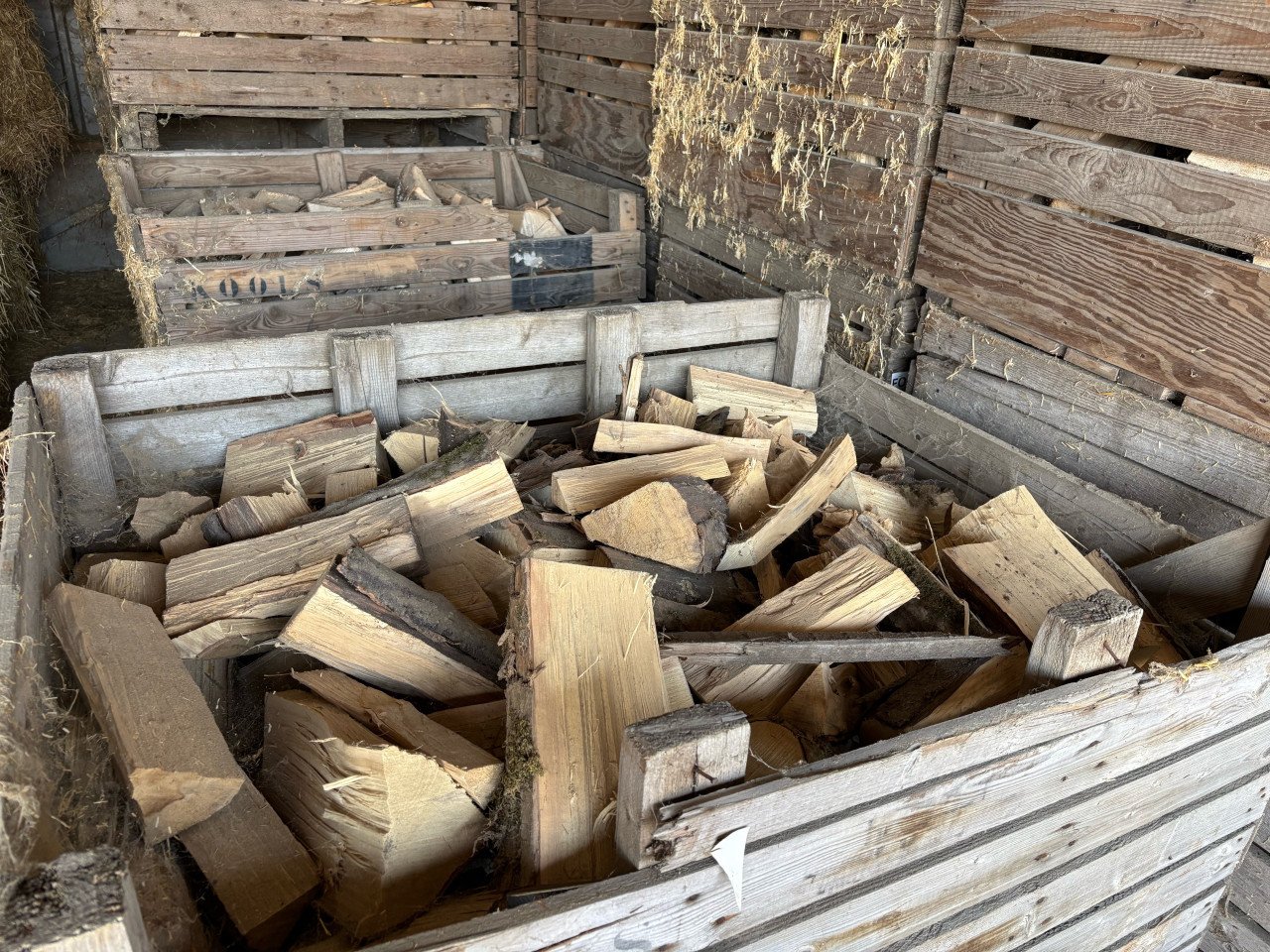 Haardhout te koop