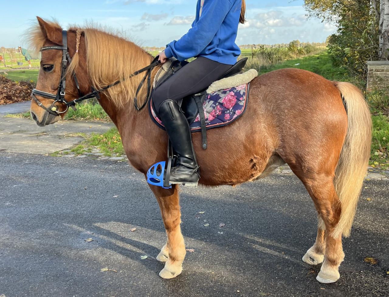 Waanzinnig brave kinderpony