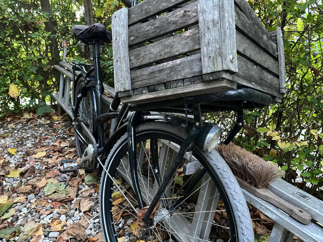 Sparta Bulk Bullet damesfiets met transportkist