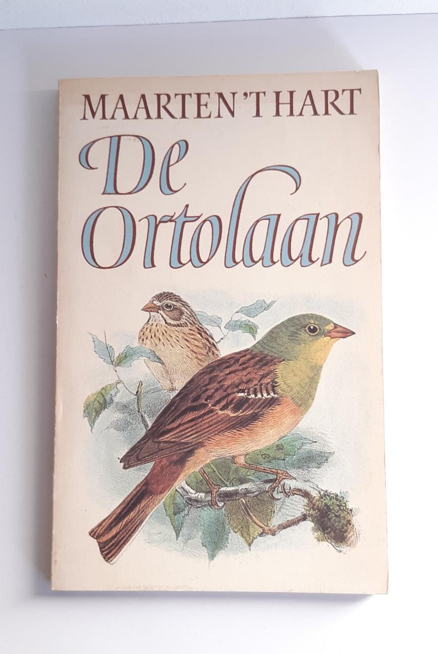 Boekenweek geschenk van Maarten 't hart: de ortholaan