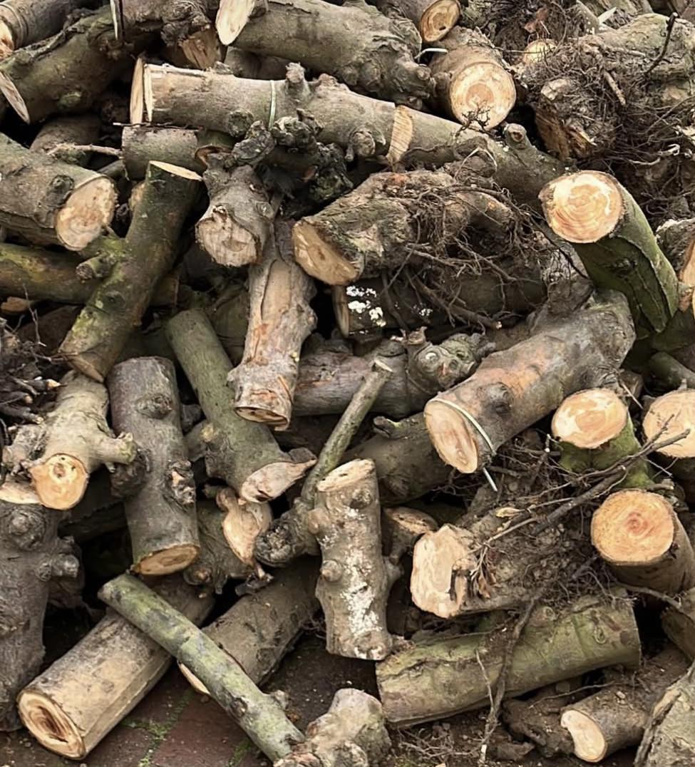 Gedroogd appelhout (gezaagd)