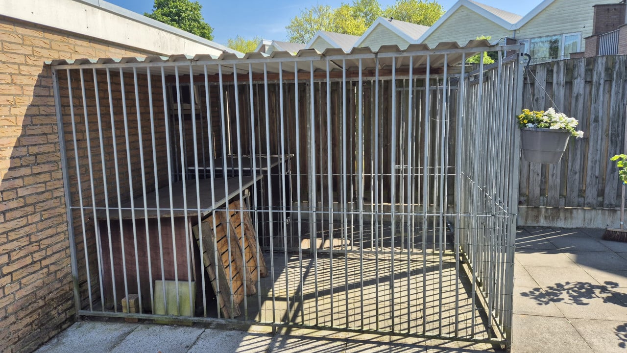 Dubbele hondenkennel met nachthokken