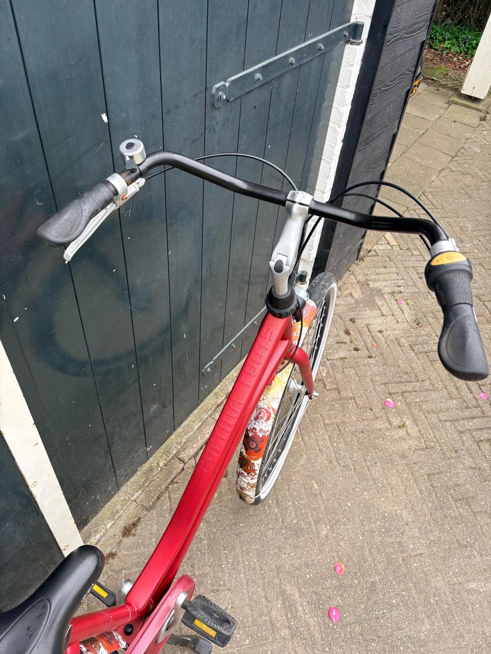 Cortina Roots Utility Damesfiets