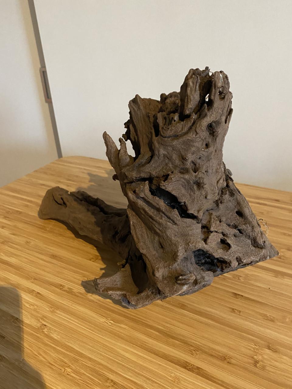 Mangrove hout voor in aquarium