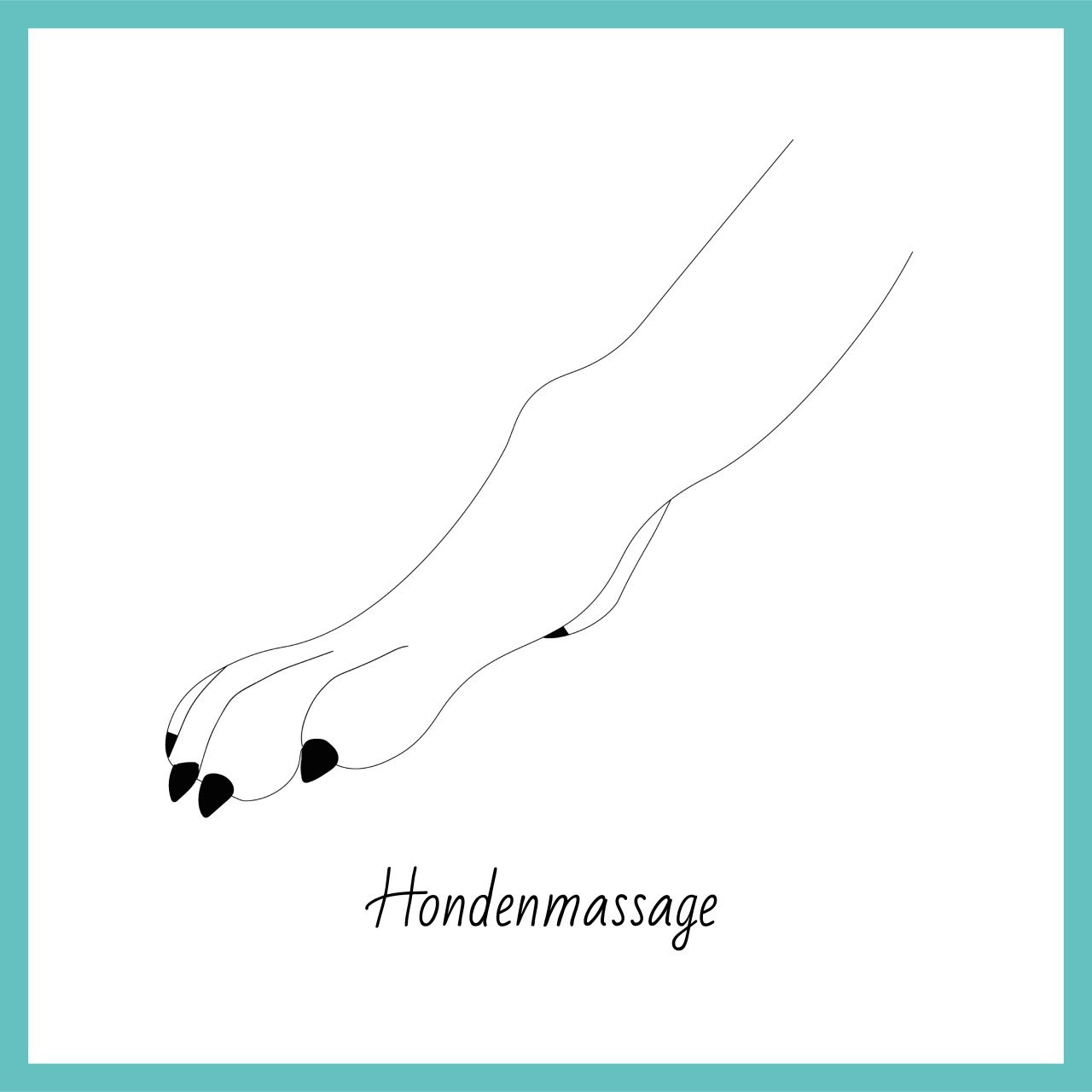 Workshop: Hondenmassage voor beginners