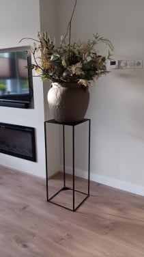 Plantentafel