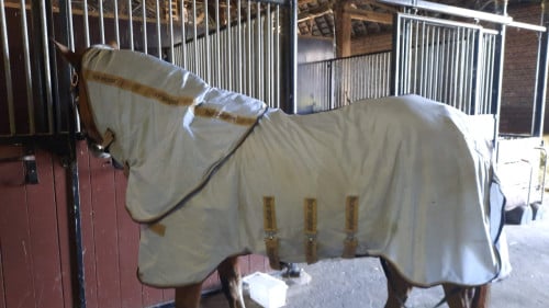 Horsegear vliegendeken Protect 195/145