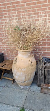 Grote pot met plant