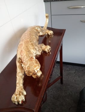 Goudkleurige jaguar